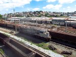 VLI 8359
